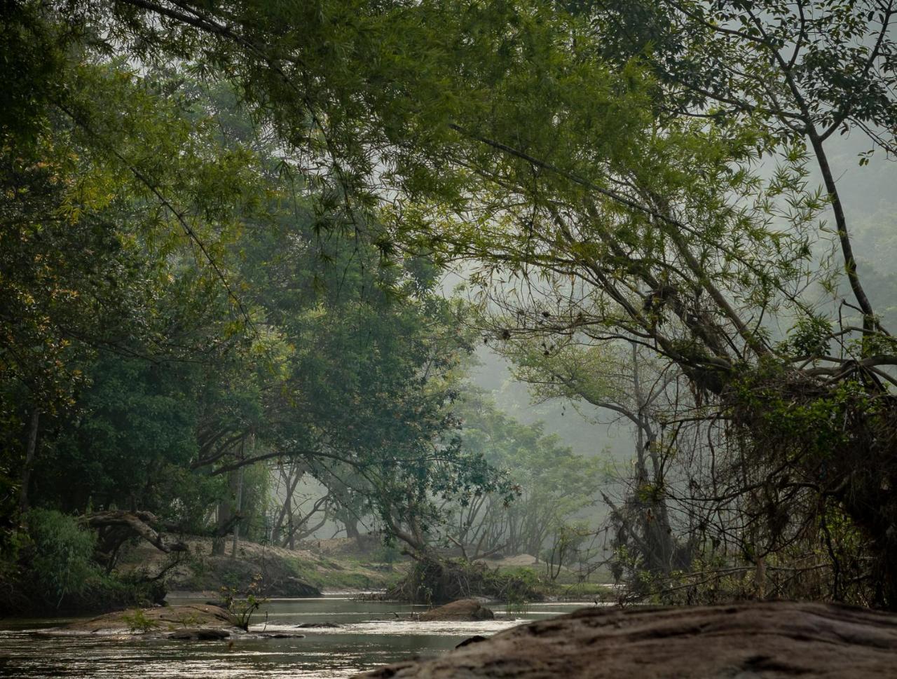 Quiet By The River- Cgh Earth Thodakayam Zewnętrze zdjęcie